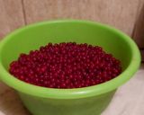 Ribizliszörp recept fázis 1 fotója