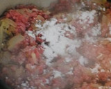 A picture of step 5 of Dry Curry (with Lots of Chinese Cabbage).