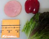 Japanese Lovely Lunch Box recipe step 1 photo