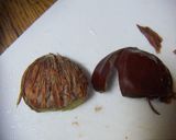 A picture of step 6 of Easy Peeled Chestnuts.