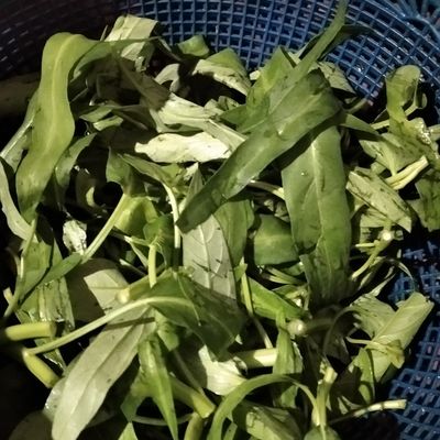 Langkah 1