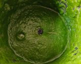 A picture of step 2 of Green juice.