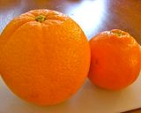 A picture of step 1 of Easy Halloween Dessert with Oranges.