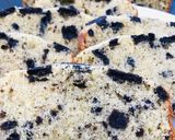 A picture of step 5 of Cookies and cream cake.