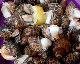 Foto langkah ke 1 dari resep Kerang Keong Macan Cumi Saos Padang.