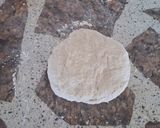 Foto del paso 4 de la receta: Tarta crocante de zapallo y boniato con cebolla caramelizada🧅🍠