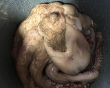 Foto del paso 3 de la receta: Pulpo a la gallega en olla GM