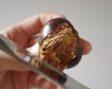 A picture of step 2 of Chestnut Rice.