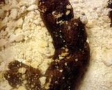 A picture of step 12 of Kitty Litter Cake ~ halloween.