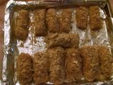 Skinny Girl Easy Mozzie Stix!