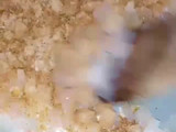 بيتزا 🍕 مثل المحلات بابسط الطرق