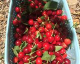 عکس مرحله 1 از دستور چای و دَم نوشِ آلبالو
