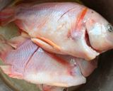 Gambar langkah 1 resipi 13:6:26 - Tilapia Goreng Bersisik.