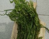 Foto langkah ke 1 dari resep Sayur pakis santan bubuk kedelai.