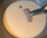 A picture of step 5 of Pink PHIRNI.