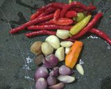 Foto langkah ke 2 dari resep Lodeh Terung kacang panjang.