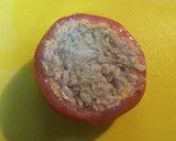 Foto del paso 4 de la receta: Tomate gratinado