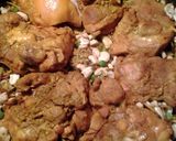 A picture of step 5 of chicken and rice vermicelli.