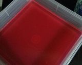 Foto langkah ke 5 dari resep Permen Agar Agar -DAPUR TIRINI.
