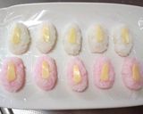A picture of step 8 of Ballet Sushi Pointe Shoes.