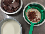 Bombones de chocolate con relleno de Chapulín 🦗