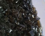 Foto langkah ke 4 dari resep Es Cincau Brown Sugar.