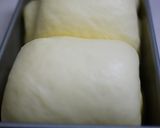 A picture of step 6 of Fluffy Yogurt Whey Mountain-Shaped Bread.