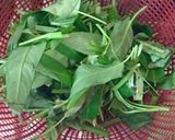 Foto langkah ke 2 dari resep Tumis kangkung dan cecek.
