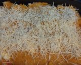 Foto del paso 6 de la receta: Pastel de Calabaza y Pollo