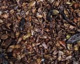 Foto langkah ke 6 dari resep No baked Choco Granola.