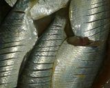 Foto langkah ke 1 dari resep Ikan goreng pedas.
