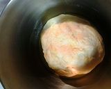 A picture of step 2 of Calzone dough.