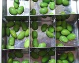 A picture of step 3 of Summer Dessert Edamame Milk Kanten.