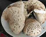 Foto del paso 6 de la receta: Guisado de ternera