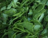 A picture of step 1 of Palak Lachha Paratha (Layered Spinach Paratha).