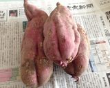 A picture of step 1 of Our Family's Sweet Potato Dessert.
