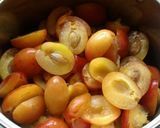 A picture of step 1 of Vickys Plum Jam with Add-In Variations GF DF EF SF NF.