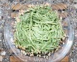 Foto del paso 7 de la receta: 🍝Fideos en salsa de espinaca, ajo y queso crema con castañas de cajú y (falso) huevo poché 🍝