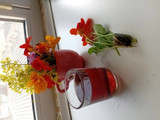 چای گل لادن