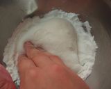 A picture of step 5 of Jyoyo (Chinese Yam) Manju.