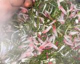 Foto langkah ke 6 dari resep Arsik Ikan Nila Merah (Makanan Khas Batak).