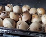 A picture of step 5 of Ginkgo Nuts Ready in 10 Minutes in a Toaster Oven.