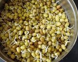 A picture of step 1 of Sprouted moong dal dosa.