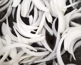 Foto del paso 3 de la receta: Tinga de pollo