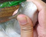 Foto langkah ke 1 dari resep Otak - otak bandeng.
