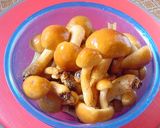 A picture of step 4 of Nameko Mushroom Tofu.