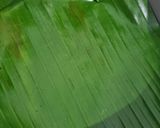 Foto langkah ke 2 dari resep Lontong Rice Cooker Bungkus Daun Pisang.