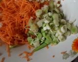 Foto langkah ke 1 dari resep Menu Anak: Pangsit Orak-Arik.