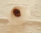 A picture of step 11 of Petite Chocolate Piping Cone.