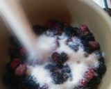 Foto del paso 1 de la receta: Mermelada de moras